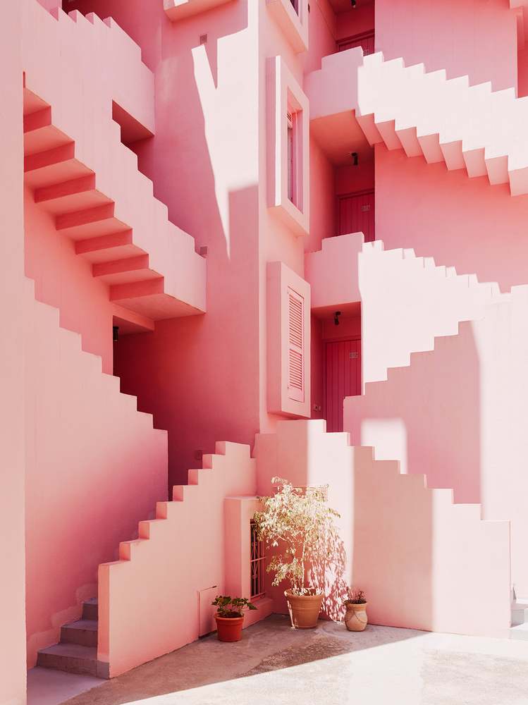 Living Coral en la Muralla Roja.