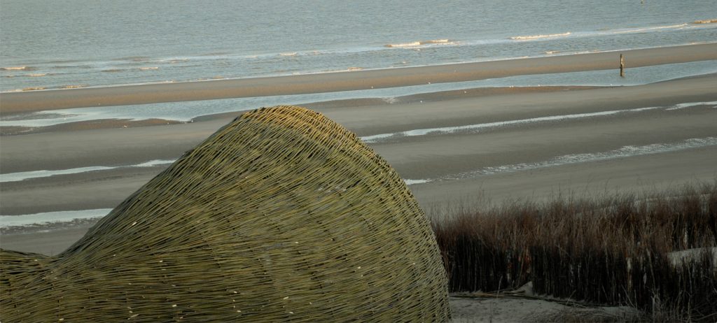 Arquitectura biofílica en un proyecto de Bélgica.