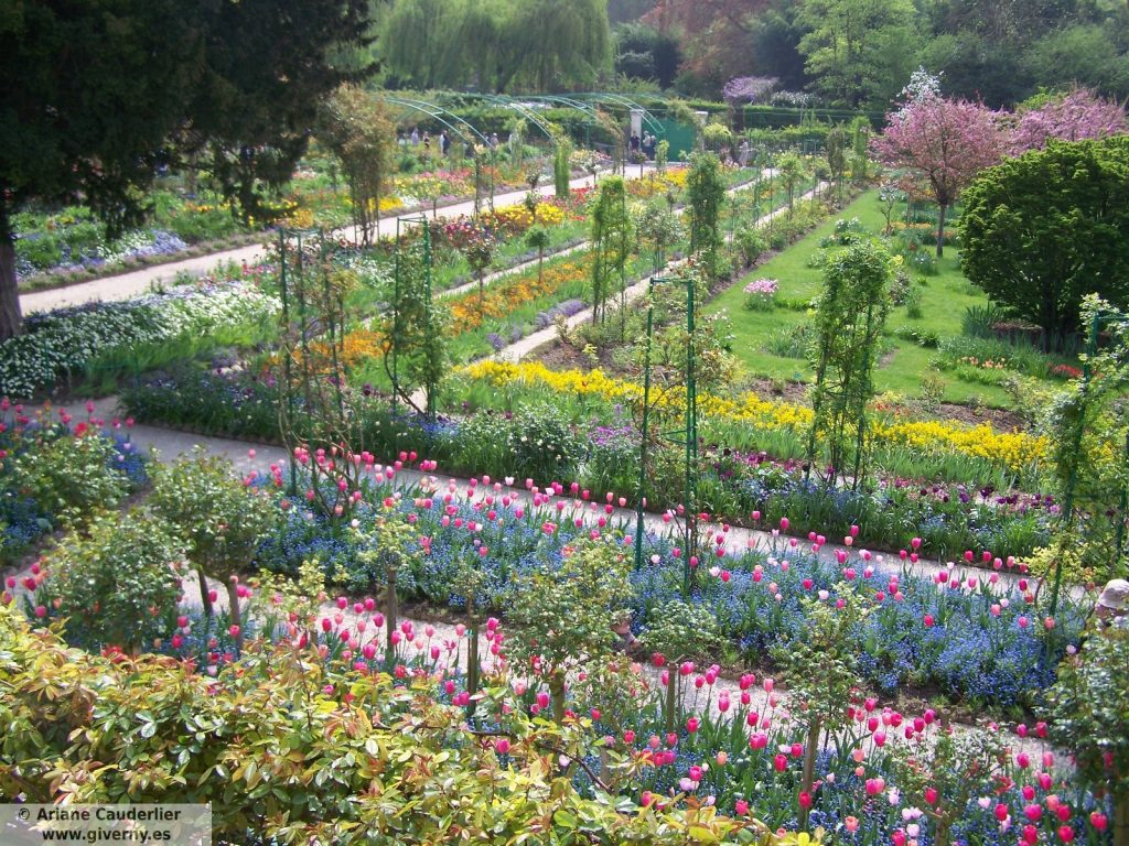 The garden as a resource by Claude Monet.