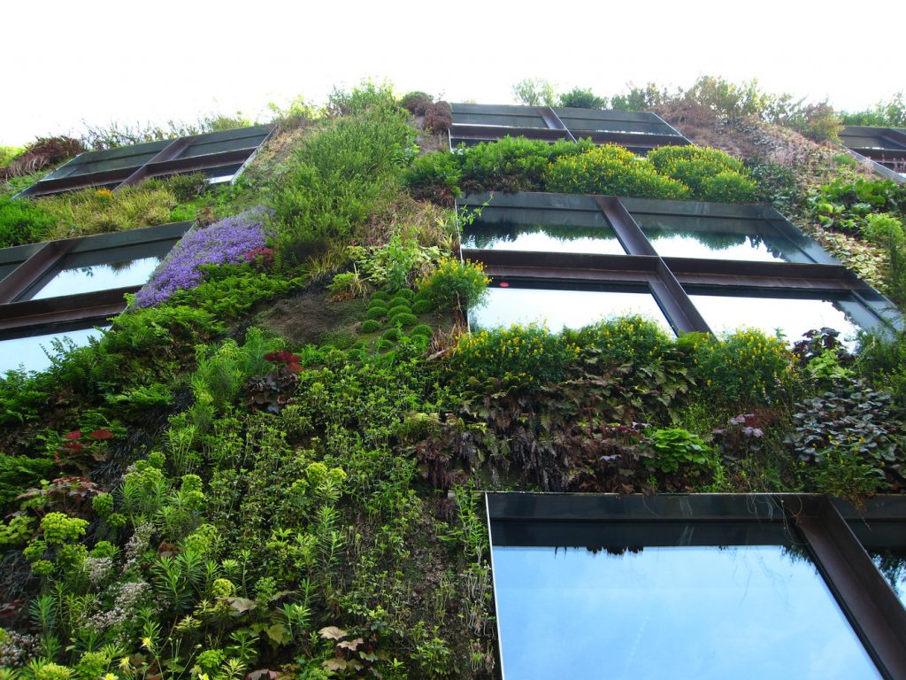 Façade of the vertical garden in Paris.