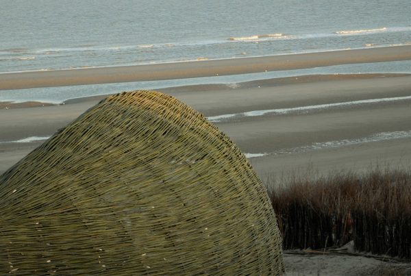 Arquitectura biofílica en un proyecto de Bélgica.