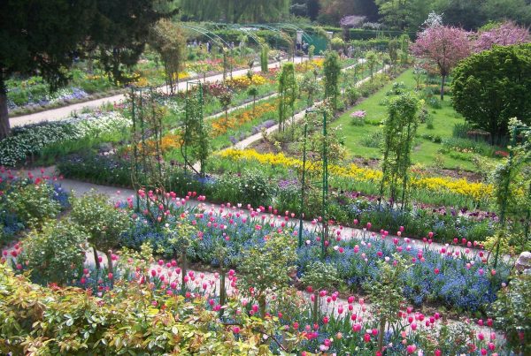 The garden as a resource by Claude Monet.