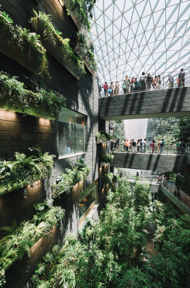 Ilustración 2 Aeropuerto Jewel Changi / Foto de Fuyu Yeo en Unsplash