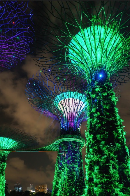Super Trees at Gardens by the Bay in Singapore