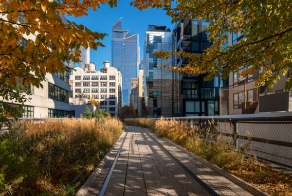 New York view of The High Line promenade in Fall. Elevated greenway with Hudson yards skyscrapers. Manhattan (Chelsea)