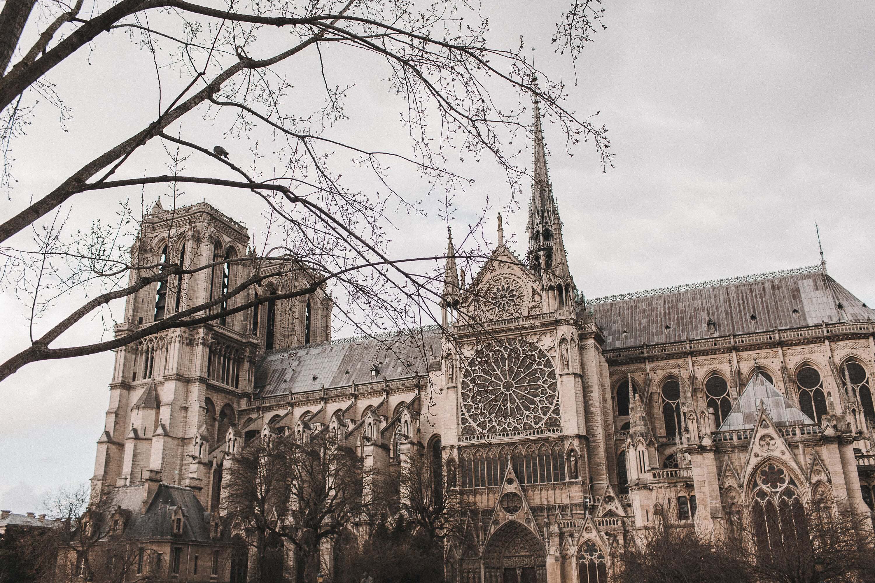 Catedral de Notre Dame, París, Francia