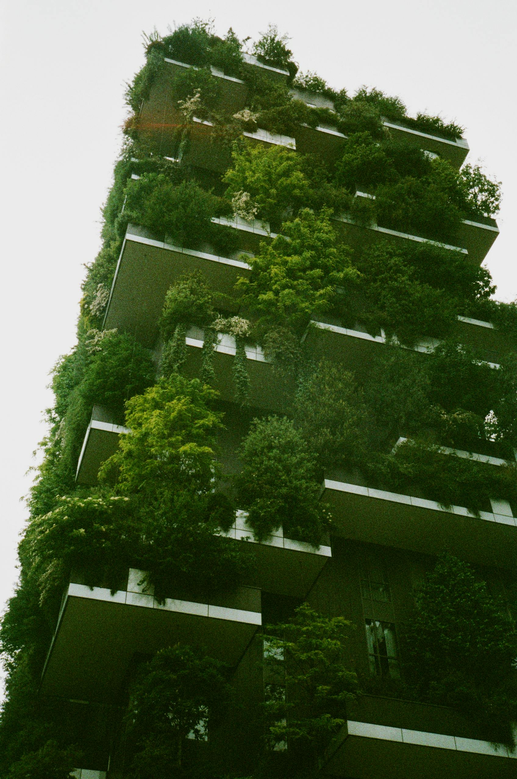 Vertical Forest, Milan, Italy